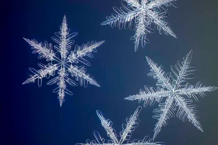 "Yellowknife Flurry," a photograph by Nathan Myhrvold, captures the intricate structure of snowflakes. 