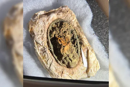 Fabric remnants found in a Viking Age grave in Denmark