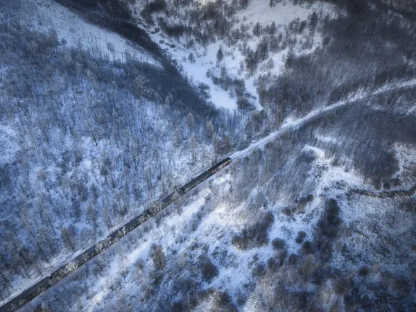 The train passing snowy forest thumbnail
