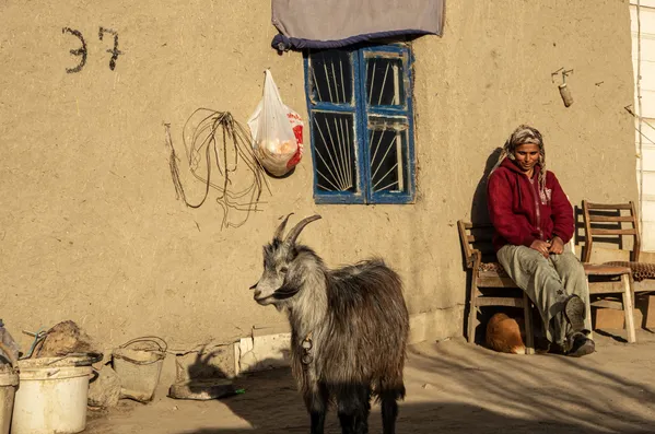 A woman with her goat thumbnail