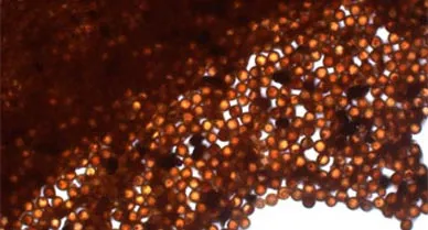 The new removable inks are made from safe pigments and trapped in nano-sized, harmless polymer shells.