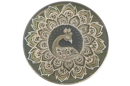 Balaram Khamari's “Microbial Peacock” won second place in the traditional category in the 2020 American Society for Microbiology Agar Art Contest.