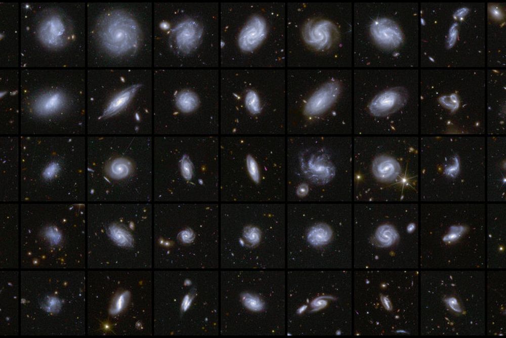 A mosaic of galaxies