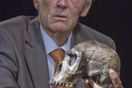 Richard Leakey&#39;s most notable find came in 1984 when he uncovered a near-complete&nbsp;Homo erectus&nbsp;skeleton dated about 1.5 million years ago. The skeleton dubbed&nbsp;Turkana Boy&nbsp;is 40 percent complete and is the most near-complete fossil skeleton of a human ancestor ever found.