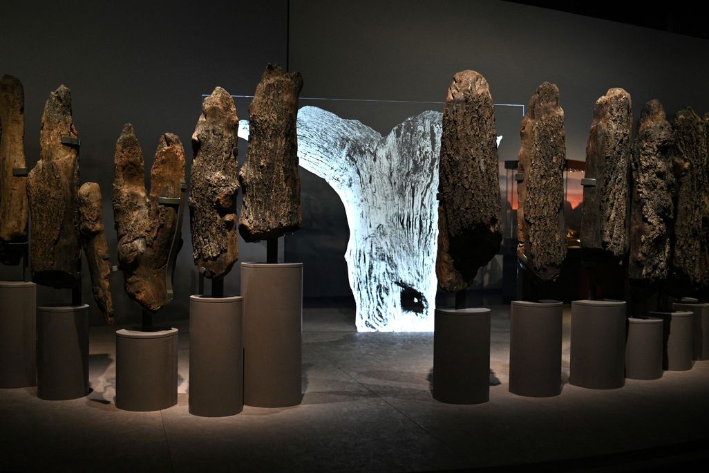 Seahenge museum