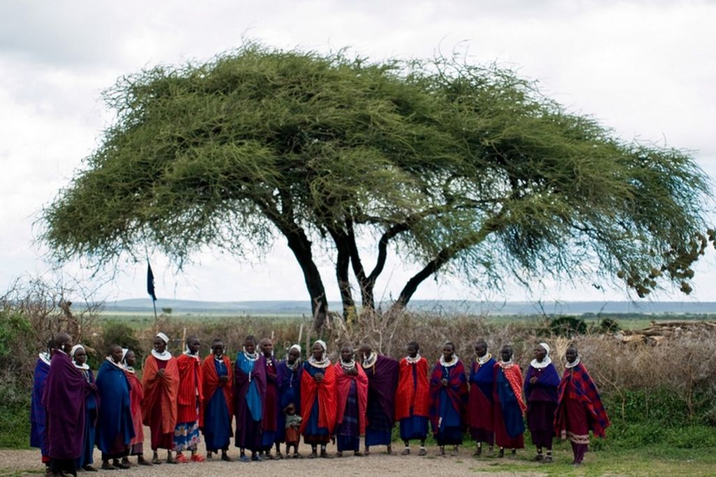 maasai
