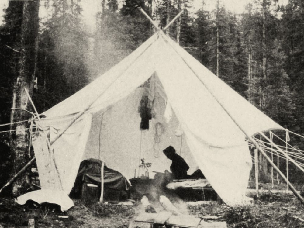 Smithsonian's Wildflower: The Illustrious Life of the ...