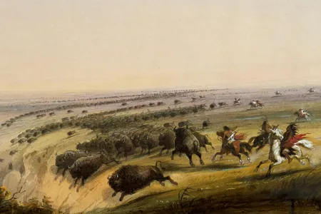 Alfred Jacob Miller's "Buffalo Jump," 1859-1860