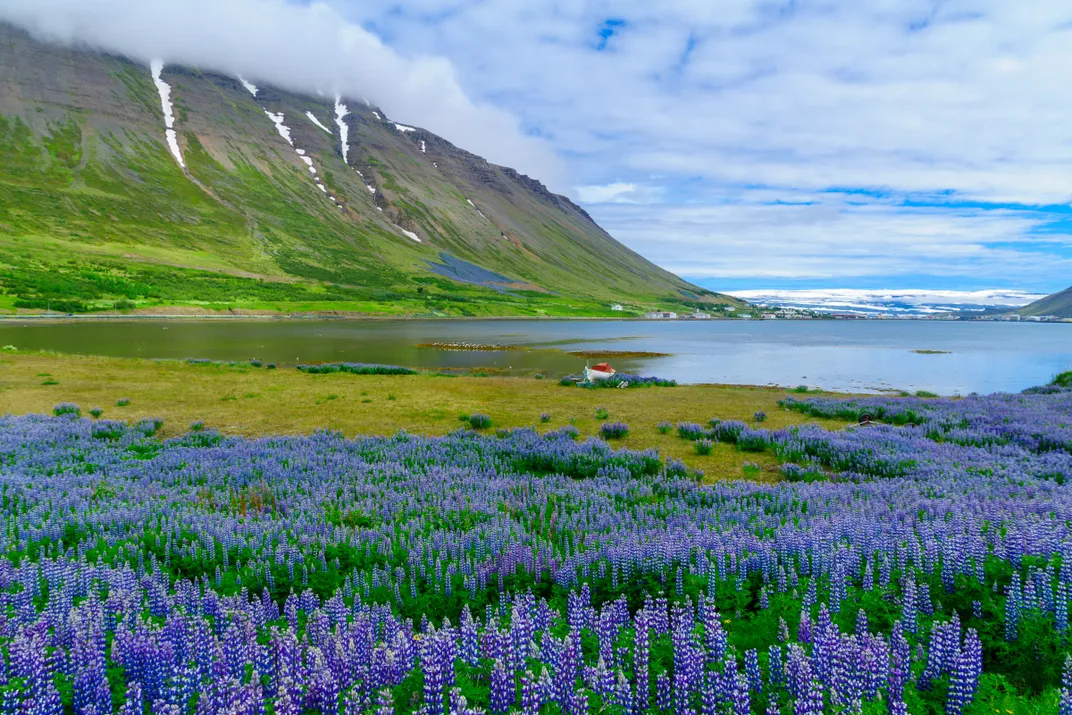 The dramatic Isafjordur area