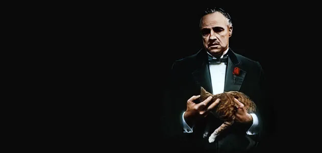 The Godfather Don Vito Corleone