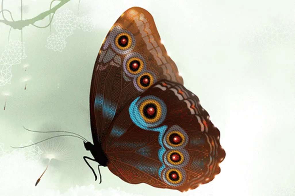 Biomimicry-butterrfly-631.png