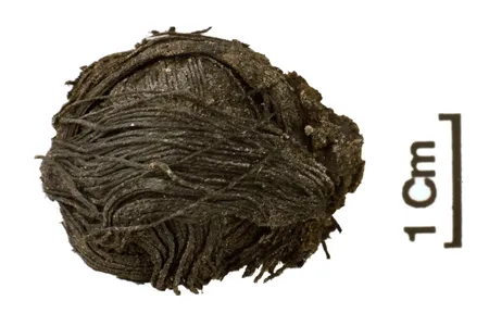 Some of the threads discovered at Must Farms are the width of a human hair.