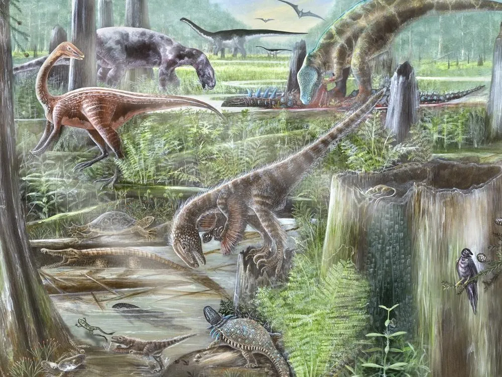 The Evolution of Terrestrial Ecosystems working group combines expertise from paleontologists and ecologists to improve our understanding of ancient and modern ecosystems. (Mary Parrish, Smithsonian)