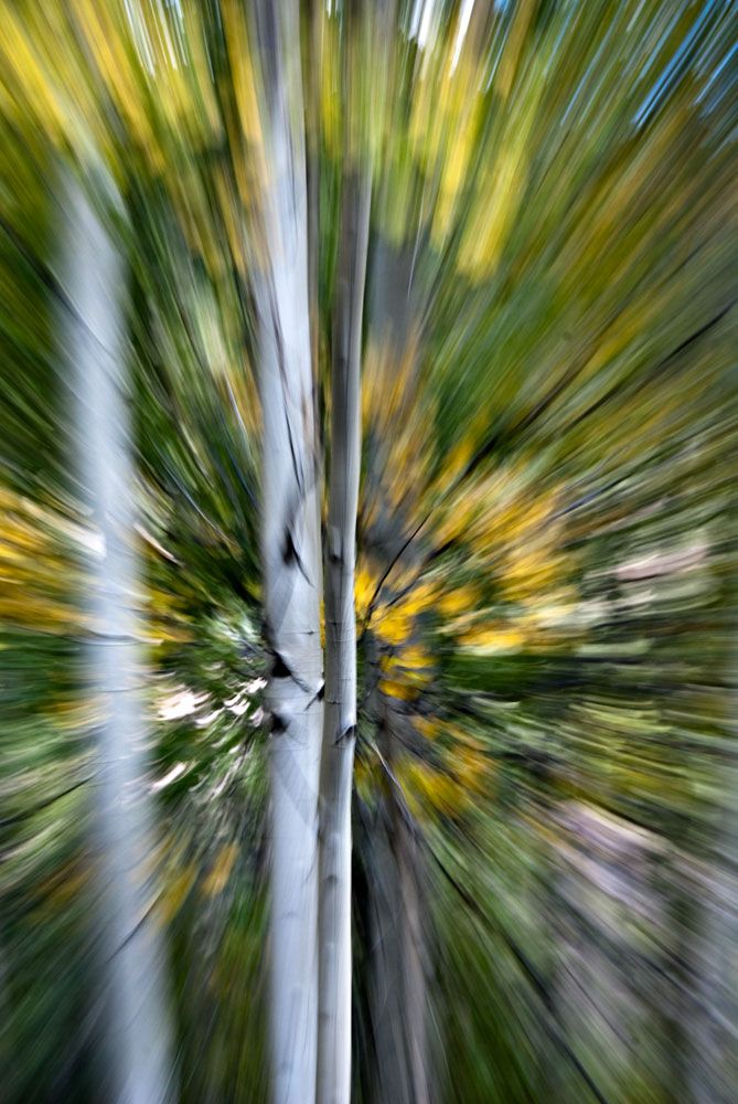 Aspen Explosion Smithsonian Photo Contest Smithsonian Magazine