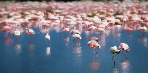 The Flamingo Lake thumbnail