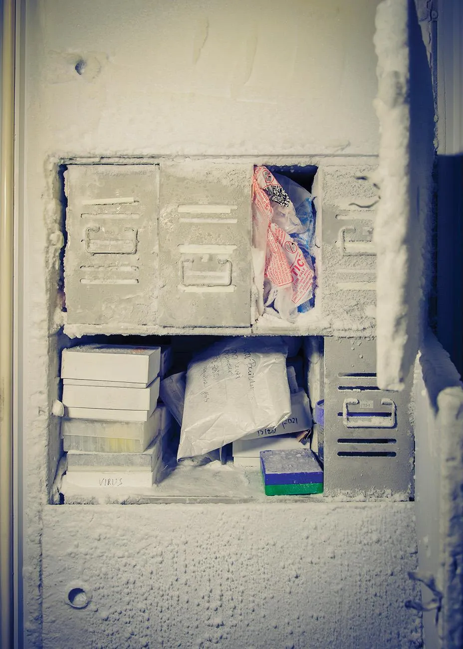 A laboratory freezer at Mount Sinai