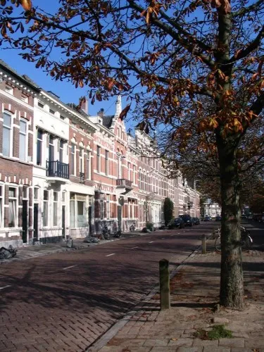 The Nieuwe Bochstraat