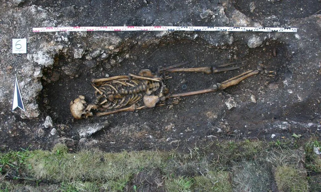 skeleton.jpg