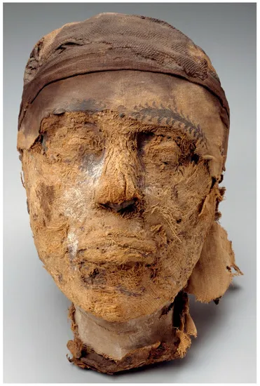 Mummified Head