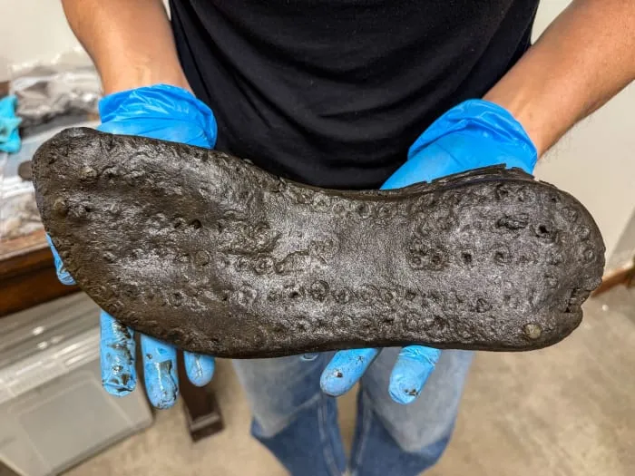 Large shoe being held in blue gloved hands