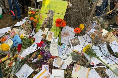 Visitors left notes, photos and mementos at the base of an oak tree Flaco the Eurasian eagle-owl had favored after escaping from the Central Park Zoo. A memorial for Flaco was held there on March 3.