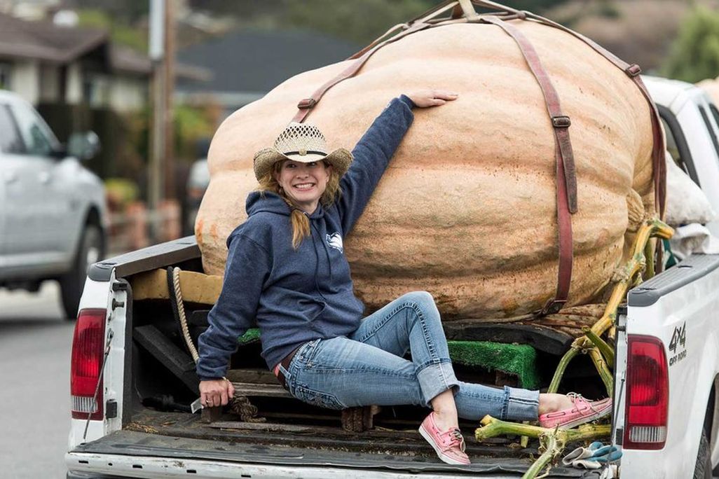 giant-PUMPKIN1016.jpg