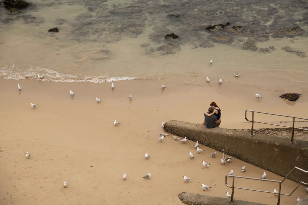 A couple sit at the beach near seagulls