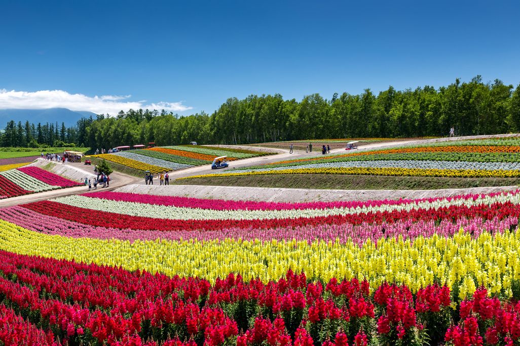 Furano, Japan