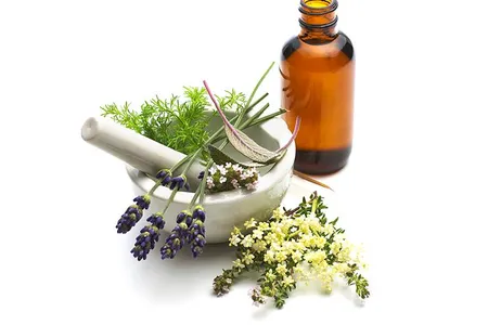 Women in early modern Europe collected recipes for balms, distillations and elixirs to treat all manner of ailments.