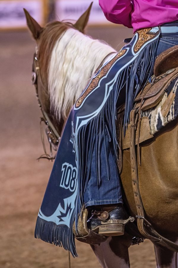 A cowgirl in her chaps waits for her moment to ride at the Rooftop Rodeo thumbnail