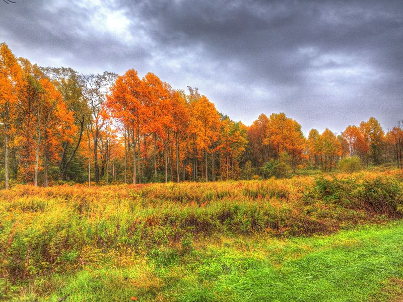 Autumn on the East Coast Smithsonian Photo Contest Smithsonian Magazine