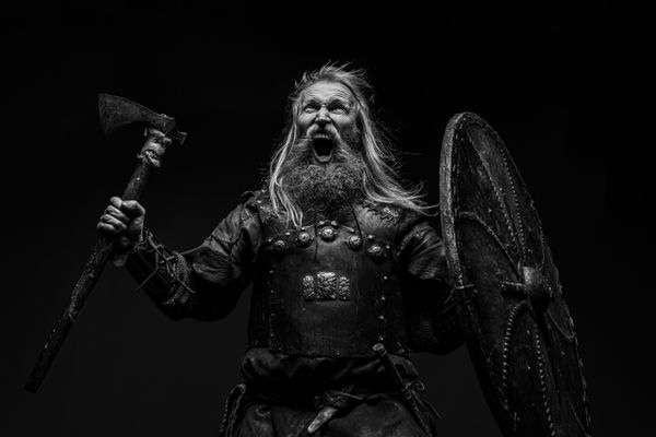 Viking Fury thumbnail