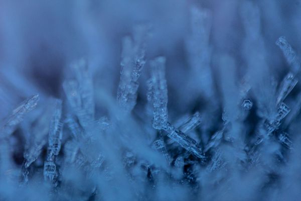 Spiky Frost on a Fence thumbnail
