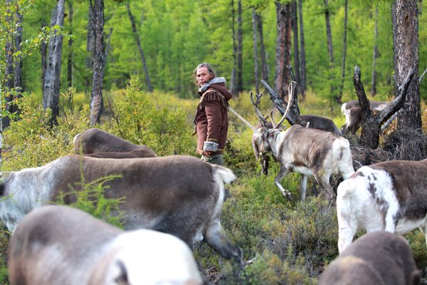 The Last Reindeer Tribe in China（5-1） thumbnail