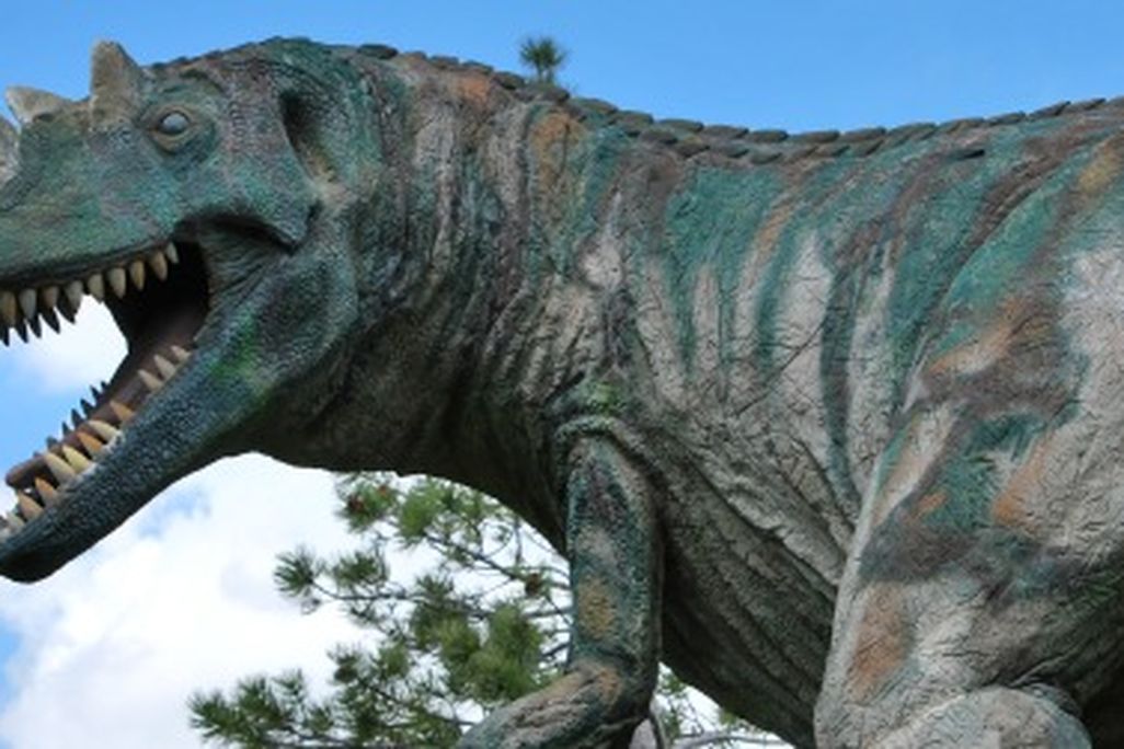 Ceratosaurus