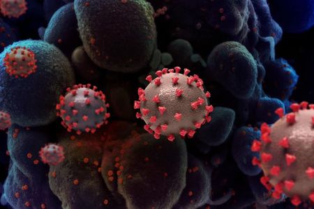 These six video webinars presented by the Smithsonian’s National Museum of Natural History explore the life cycle of modern outbreaks. 