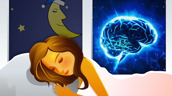Preview thumbnail for Ask Smithsonian: Why Do We Sleep?