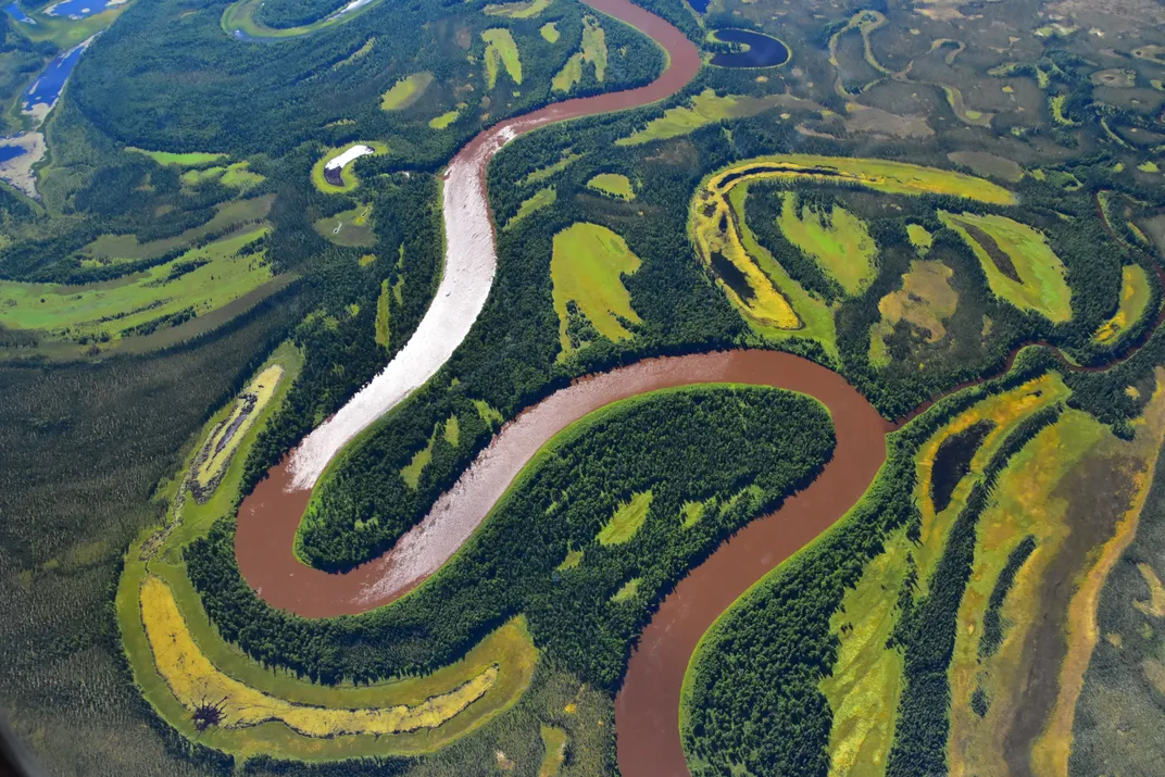 An overhead view of a muddy Arctic river, surrounded by green forested areas and permafrost