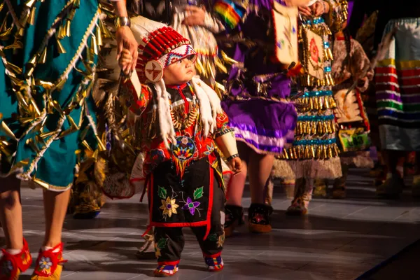 Little Northern Plains Powwow Dancer thumbnail