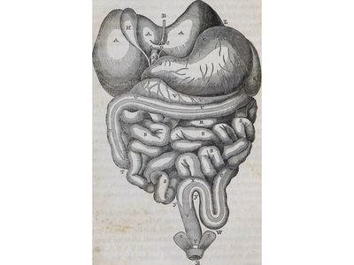 Before St. Martin's living digestive system was studied, doctors knew what the digestive system looked like but not how it looked or behaved while working. 