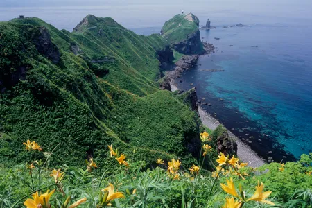 The lush, rugged landscape of Japan's island of Hokkaido is a major draw for amateur photographers—but do Flickr photos really represent the most important conservation sites?