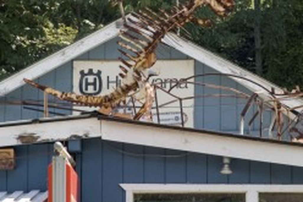 20110520083230port-jervis-dinosaur-248x300.jpg