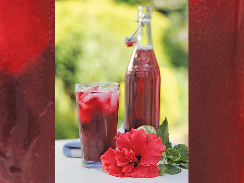 a red drink bottle and glass with hibiscus flower