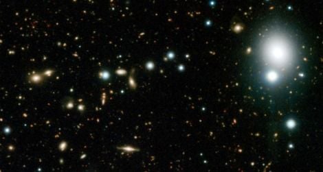 A selection of a new image of distant galaxies in the COSMOS field. Click to see the whole view.
