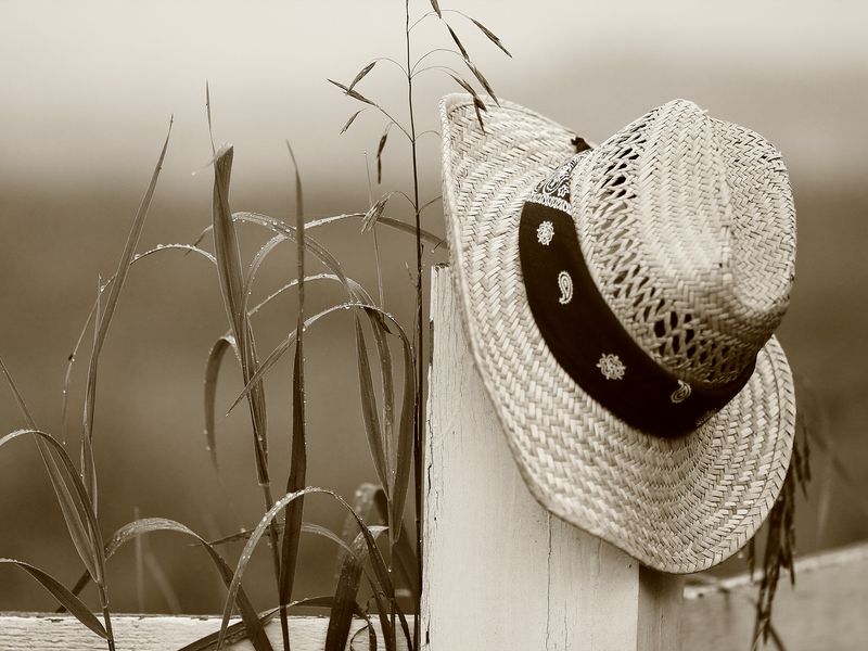 Farmers hat | Smithsonian Photo Contest | Smithsonian Magazine
