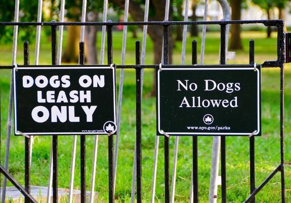 Leash laws