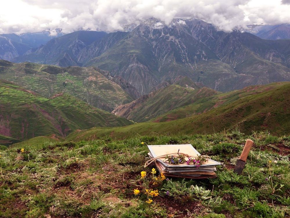 A plant press in the foreground, with a scenic view of mountains and meadows in the background