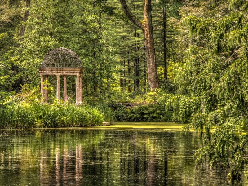 Summer noon at Longwood Gardens, PA, USA | Smithsonian Photo Contest ...