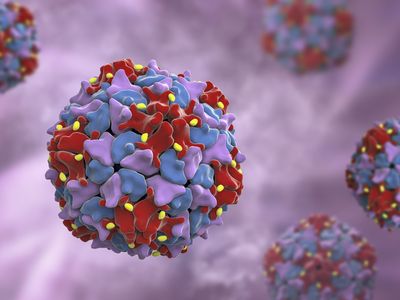 Poliovirus particles, computer illustration.
