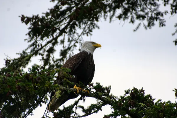 Death grip thumbnail